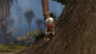 Illustration for article titled Guild Wars 2's Most Impressive Feet